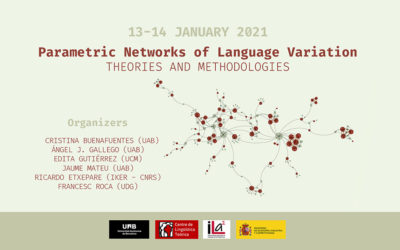 Workshop: Parametric Networks of Language Variation