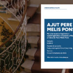 Ajut Pere Melis Pons de l’Institut Menorquí d’Estudis